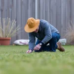 Gras leggen: zo leg je eenvoudig en duurzaam een prachtig gazon aan